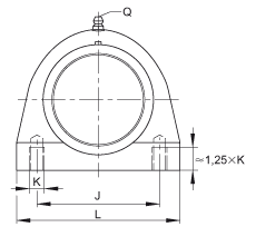 直立式軸承座單元 PSHE30-TV-FA125.5, 塑料軸承座，帶偏心鎖圈的外球面球軸承，帶 Corrotect? 涂層，P型密封