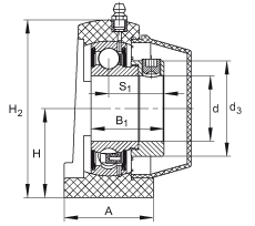 直立式軸承座單元 PSHE30-TV-FA125.5, 塑料軸承座，帶偏心鎖圈的外球面球軸承，帶 Corrotect? 涂層，P型密封