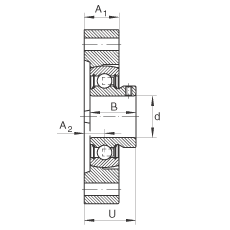 軸承座單元 FLCTEY20, 帶兩個螺栓孔的法蘭的軸承座單元，鑄鐵， 內圈帶平頭螺釘， P 型密封，無再潤滑結構